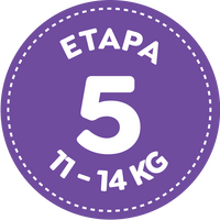 Etapa 5