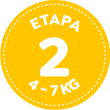 Etapa 2