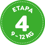 Etapa 4