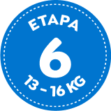 Etapa 6