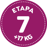 Etapa 7