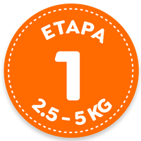 Etapa 1